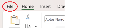 Placeholder for a screenshot showing File in the Excel ribbon