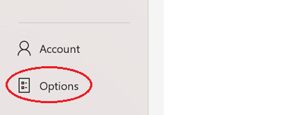 Placeholder for a screenshot showing Excel Options